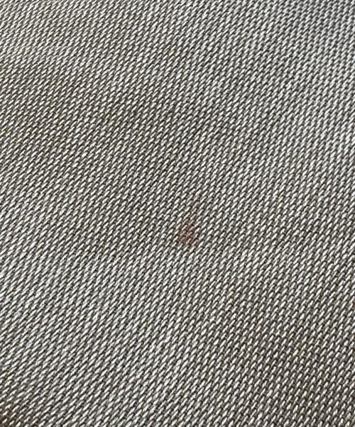 Cartier（カルティエ）Cartier (カルティエ) 大判コットンシルクストール ベージュ サイズ:-の古着・服飾アイテム