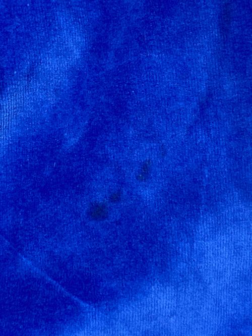 Needles（ニードルズ）Needles (ニードルズ) PALACE (パレス) TRACK JOGGER ブルー サイズ:XLの古着・服飾アイテム