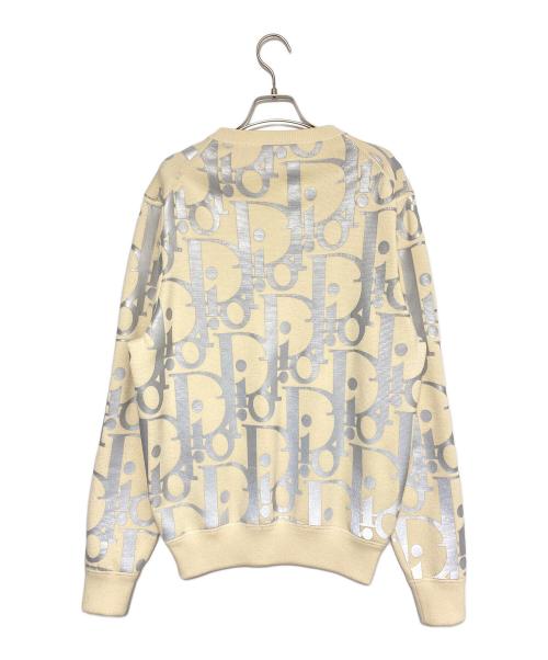 DIOR HOMME（ディオール オム）DIOR HOMME (ディオール オム) リフレクティブオブリーク総柄ニット ベージュ×シルバー サイズ:Sの古着・服飾アイテム
