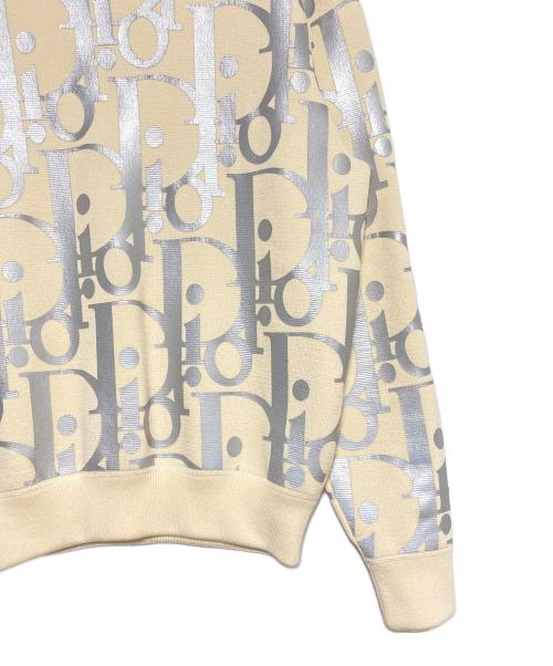 DIOR HOMME（ディオール オム）DIOR HOMME (ディオール オム) リフレクティブオブリーク総柄ニット ベージュ×シルバー サイズ:Sの古着・服飾アイテム