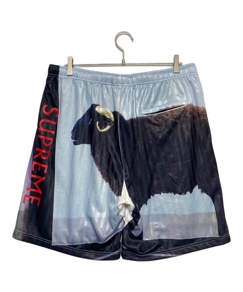 SUPREME（シュプリーム）SUPREME (シュプリーム) Damien Hirst (ダミアン ハースト) Soccer Short マルチカラー サイズ:Lの古着・服飾アイテム