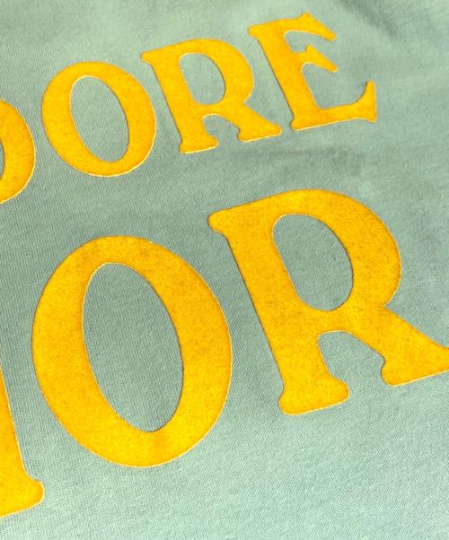 Christian Dior（クリスチャン ディオール）Christian Dior (クリスチャン ディオール) J'ADORE DIORノースリーブカットソー 黄緑 サイズ:36の古着・服飾アイテム