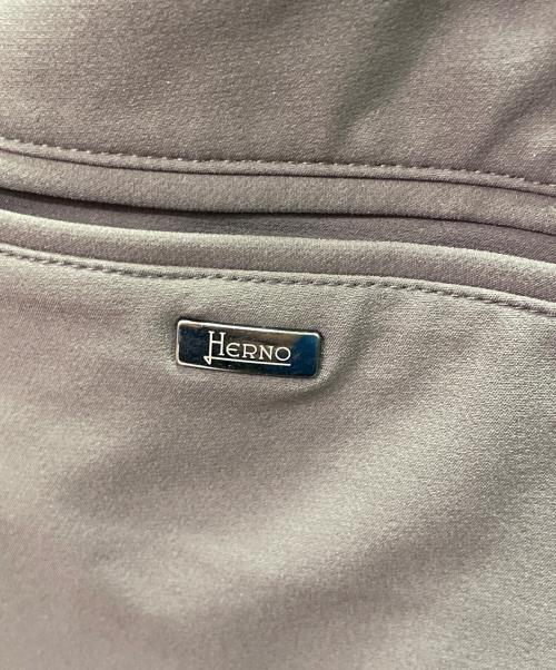 HERNO（ヘルノ）HERNO (ヘルノ) ウォームテック1プリーツテーパードシャーリングパンツ グレー サイズ:XSの古着・服飾アイテム