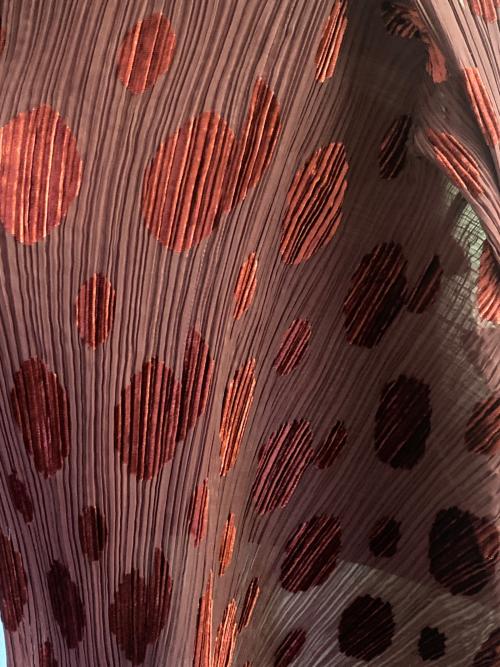 ISSEY MIYAKE FETE（イッセイミヤケフェット）ISSEY MIYAKE FETE (イッセイミヤケフェット) プリーツカーディガン ブラウン サイズ:2の古着・服飾アイテム