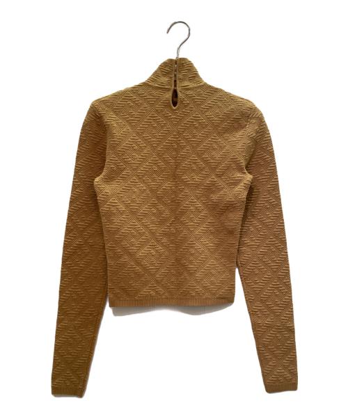 FENDI（フェンディ）FENDI (フェンディ) High-Neck Long-Sleeve Top ハイネック ロングスリーブ カットソー/FZX749 AGIR ブラウン サイズ:36の古着・服飾アイテム