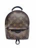 LOUIS VUITTON（ルイ ヴィトン）の古着「パームスプリングス バックパック ミニ」｜ブラウン