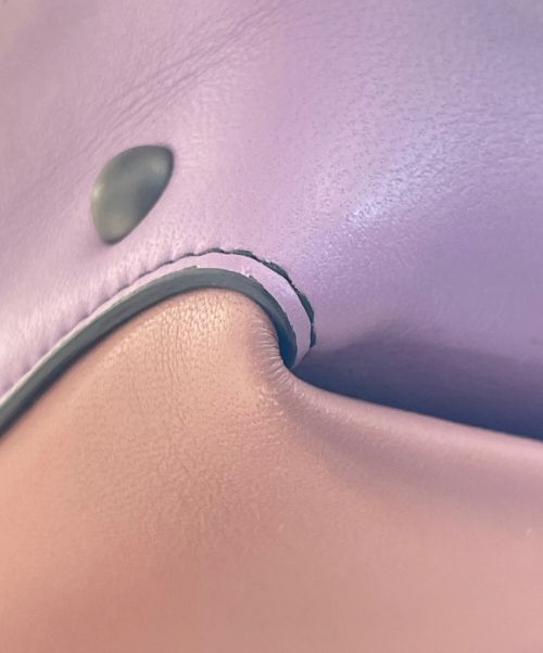 BOTTEGA VENETA（ボッテガベネタ）BOTTEGA VENETA (ボッテガベネタ) ピアッツァスモール ピンク×パープルの古着・服飾アイテム