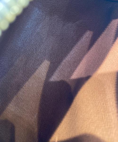 LOUIS VUITTON（ルイ ヴィトン）LOUIS VUITTON (ルイ ヴィトン) パピヨンPM ブラウン サイズ:PMの古着・服飾アイテム