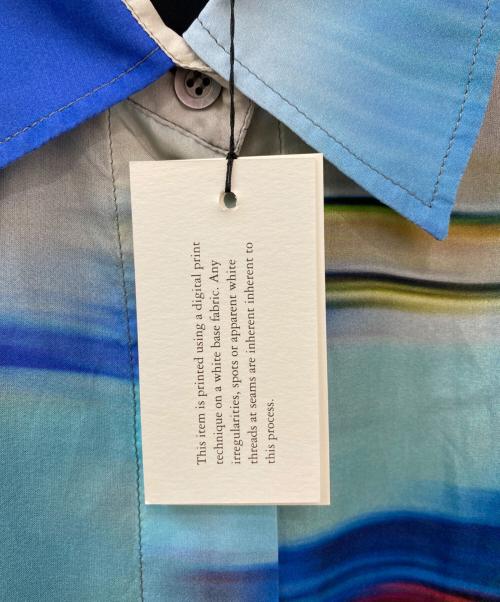 DRIES VAN NOTEN（ドリスヴァンノッテン）DRIES VAN NOTEN (ドリスヴァンノッテン) DAYLEY BIS 4334 W.W.DRESS マルチカラー サイズ:Sの古着・服飾アイテム