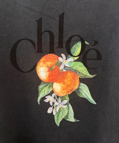 Chloe（クロエ）Chloe (クロエ) コットンジャージー製ベビーフィット ロゴ Tシャツ グレー サイズ:Lの古着・服飾アイテム