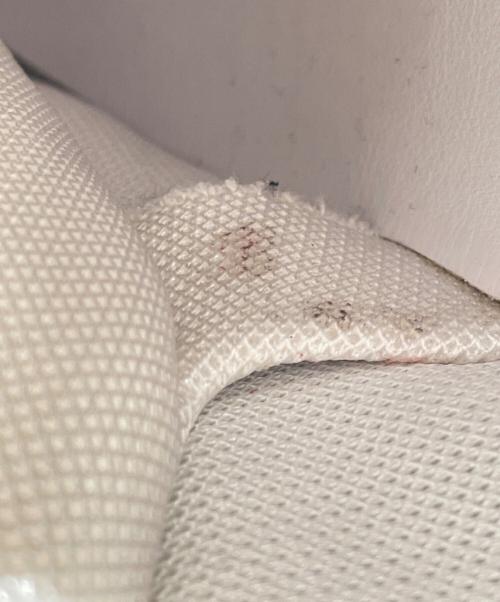 BOTTEGA VENETA（ボッテガベネタ）BOTTEGA VENETA (ボッテガベネタ) ダッドスニーカー 24 サイズ:42の古着・服飾アイテム