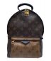 LOUIS VUITTON（ルイ ヴィトン）の古着「バームスプリングバッグパックPM」｜ブラウン