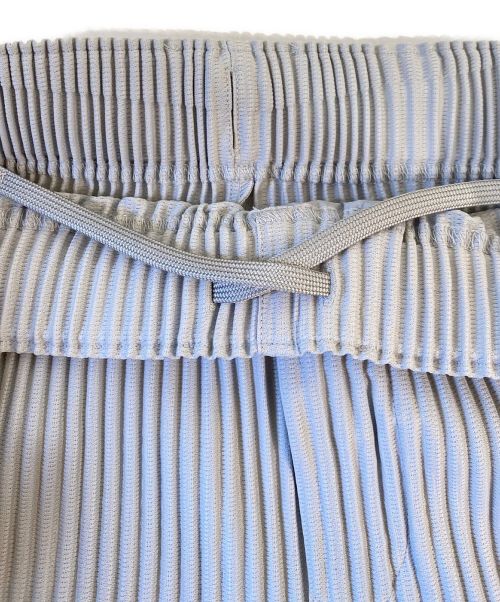 HOMME PLISSE ISSEY MIYAKE（オム プリッセ イッセイ ミヤケ）HOMME PLISSE ISSEY MIYAKE (オムプリッセ イッセイ ミヤケ) プリーツワイドパンツ ライトグレー サイズ:2 未使用品の古着・服飾アイテム