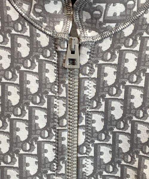 Christian Dior（クリスチャン ディオール）Christian Dior (クリスチャン ディオール) オブリークニットワンピース グレー サイズ:38の古着・服飾アイテム