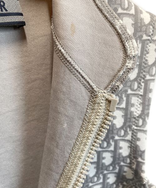 Christian Dior（クリスチャン ディオール）Christian Dior (クリスチャン ディオール) オブリークニットワンピース グレー サイズ:38の古着・服飾アイテム