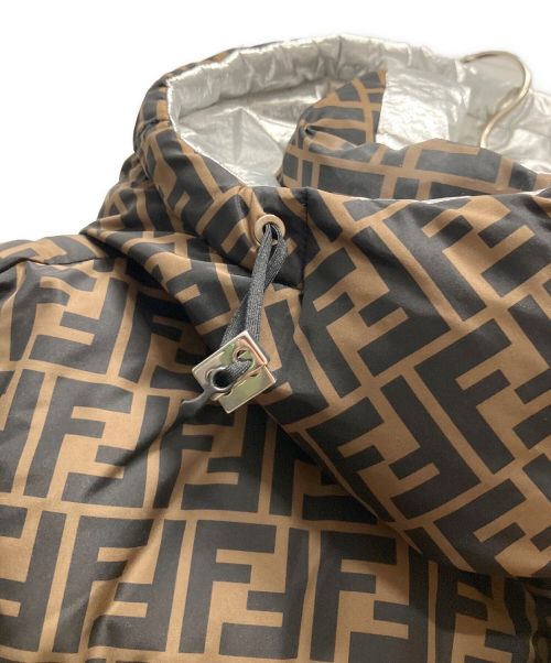 FENDI（フェンディ）FENDI (フェンディ) ズッカリバーシブルダウンジャケット ブラウン×シルバー サイズ:Sの古着・服飾アイテム