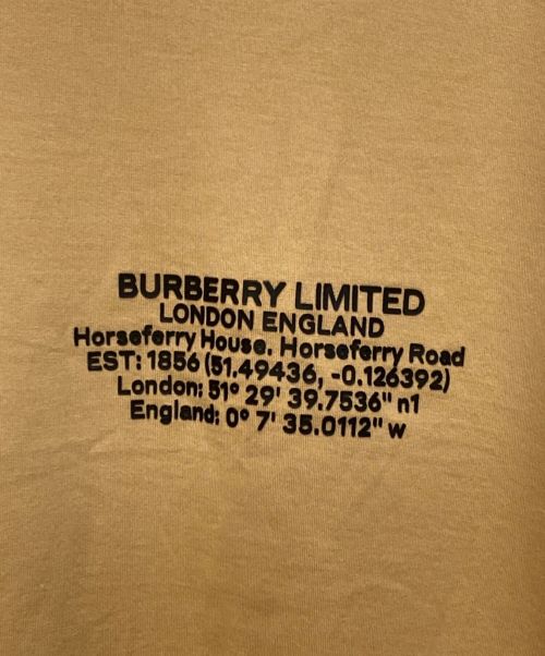 BURBERRY LONDON（バーバリーロンドン）BURBERRY LONDON (バーバリー ロンドン) Location Print Cotton Oversized T-shirt（ロケーションプリントコットンオーバーサイズドＴシャツ） ブラウン サイズ:Lの古着・服飾アイテム