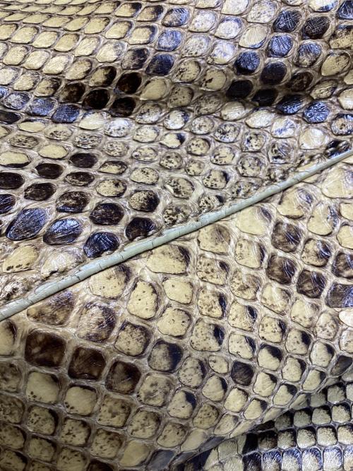 TOD'S（トッズ）TOD'S (トッズ) パイソンショルダーバッグ ベージュの古着・服飾アイテム