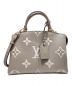 LOUIS VUITTON（ルイ ヴィトン）の古着「プティ・パレPM」｜ベージュ