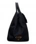 PRADA (プラダ) テスート フィオッコ2WAYバッグ ブラック：100000円