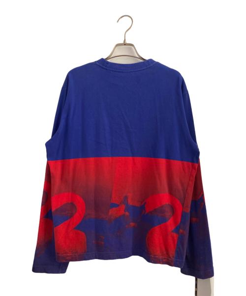 BURBERRY（バーバリー）BURBERRY (バーバリー) スワンプリントロングスリーブシャツ ブルー×レッド サイズ:XSの古着・服飾アイテム