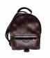LOUIS VUITTON（ルイ ヴィトン）の古着「モノグラム パームスプリングス バックパック ミニ」｜ブラウン