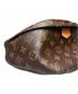 中古・古着 LOUIS VUITTON (ルイ ヴィトン) クロスボディバッグ/バムバッグ/モノグラム ブラウン：330000円