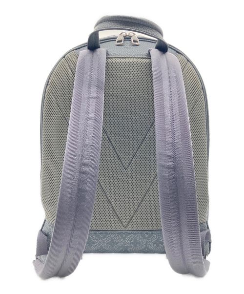LOUIS VUITTON（ルイ ヴィトン）LOUIS VUITTON (ルイ ヴィトン) トリヨン クライミング エリプス バックパック グレーの古着・服飾アイテム