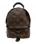 LOUIS VUITTON（ルイ ヴィトン）の古着「パームスプリングス バックパック ミニ」｜ブラウン×ブラック