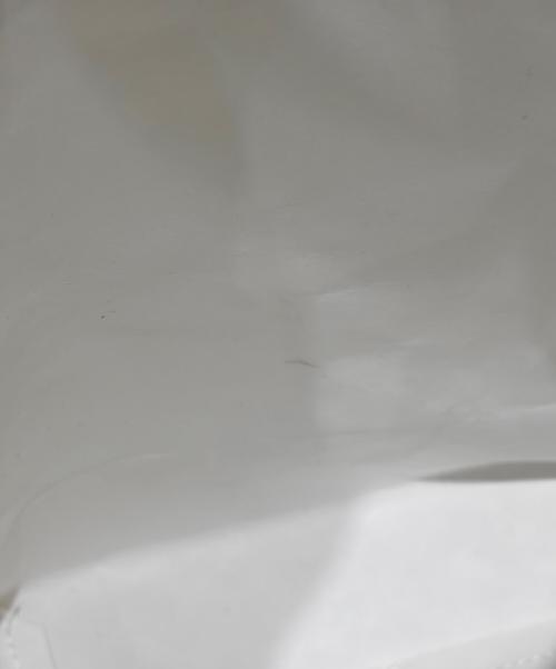 JIL SANDER（ジルサンダー）JIL SANDER (ジルサンダー) 2WAYエコバッグ ホワイトの古着・服飾アイテム