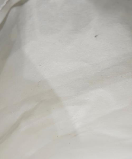 JIL SANDER（ジルサンダー）JIL SANDER (ジルサンダー) 2WAYエコバッグ ホワイトの古着・服飾アイテム