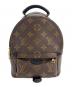 LOUIS VUITTON（ルイ ヴィトン）の古着「パームスプリングス バックパック ミニ/M44873」｜ブラウン