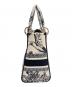 中古・古着 Christian Dior (クリスチャン ディオール) Lady D-Lite バッグ トワル ドゥ ジュイ/Lady D-Lite Bag Toile de Jouy/ミディアム：420000円
