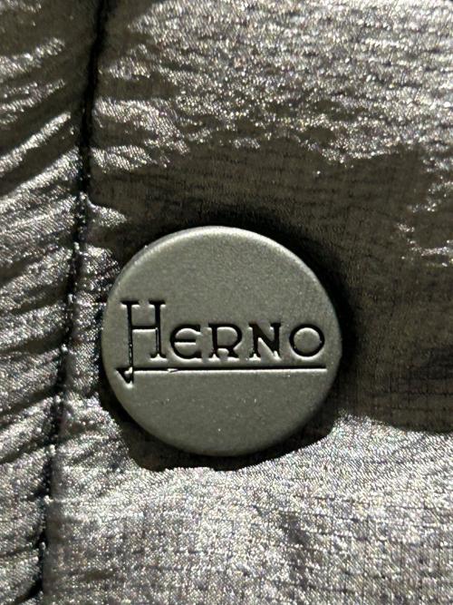 HERNO（ヘルノ）HERNO (ヘルノ) ダウンジャケット ブラック サイズ:50の古着・服飾アイテム