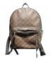 LOUIS VUITTON（ルイ ヴィトン）の古着「バックパック/M41530」｜ブラウン
