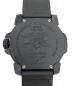 LUMINOX (ルミノックス) LUMINOX COLORMARK 3050 腕時計 ブラック：14800円