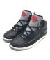 NIKE（ナイキ）の古着「Air Jordan 2 Retro“Black Cement”」｜ブラック×グレー