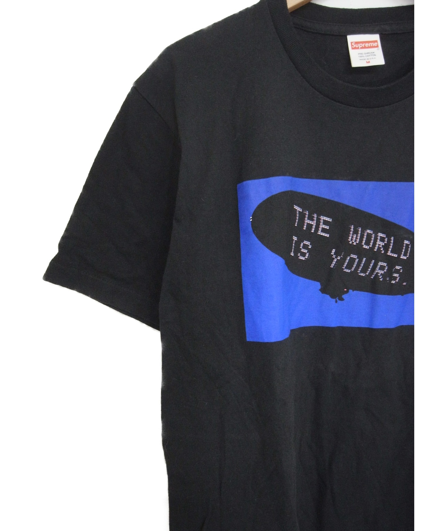 SUPREME (シュプリーム) プリントTシャツ ブラック サイズ:M THE WORLD IS YOURS TEE 17AWモデル