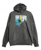 THE NORTH FACEザ ノース フェイス）の古着「Mountain Heavyweight Pullover Hoodie」｜グレー