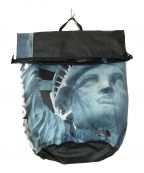 SUPREME×THE NORTH FACEシュプリーム × ザノースフェイス）の古着「Statue of Liberty Waterproof Backpack」｜ブルー