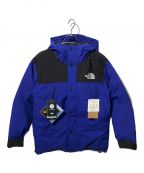 THE NORTH FACEザ ノース フェイス）の古着「Mountain Down Jacket」｜ブルー