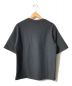 LACOSTE (ラコステ) 1TONE S/S T/Tシャツ ブラック サイズ:US　XS：4800円
