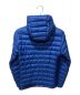 Patagonia (パタゴニア) Down Sweater Hoody 800FP ブルー サイズ:XS：17800円