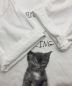 中古・古着 Bruce Weber (ブルース・ウェバー) BIOTOP (ビオトープ) 10C (テンシー) CAT PHOTO T-SHIRT ホワイト サイズ:XXL：12800円