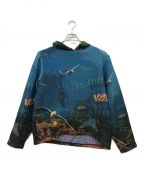 V2S5V2S5）の古着「“NEW DISCOVERIES” TAPESTRY HOODIE」｜ブルー