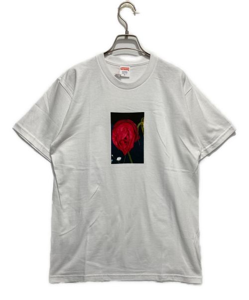 SUPREME（シュプリーム）SUPREME (シュプリーム) プリントTシャツ ホワイト サイズ:M 未使用品の古着・服飾アイテム