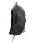 peak design (ピークデザイン) Everyday Backpack ZIP 20L ブラック：12800円
