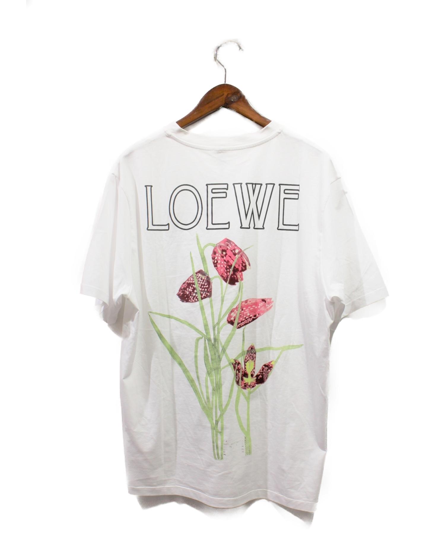 loewe 19ss