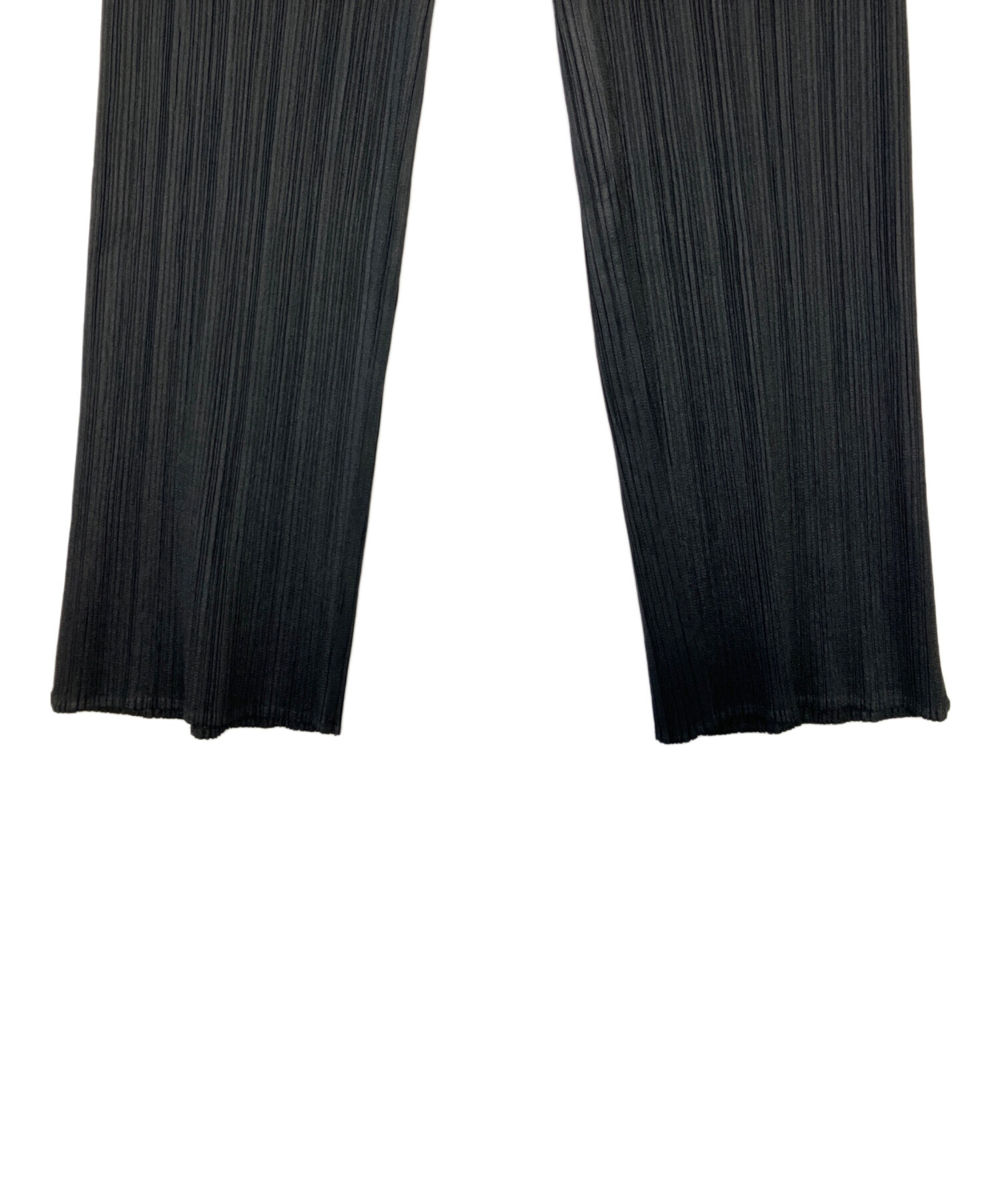 中古・古着通販】PLEATS PLEASE (プリーツプリーズ) THE NORTH FACE  