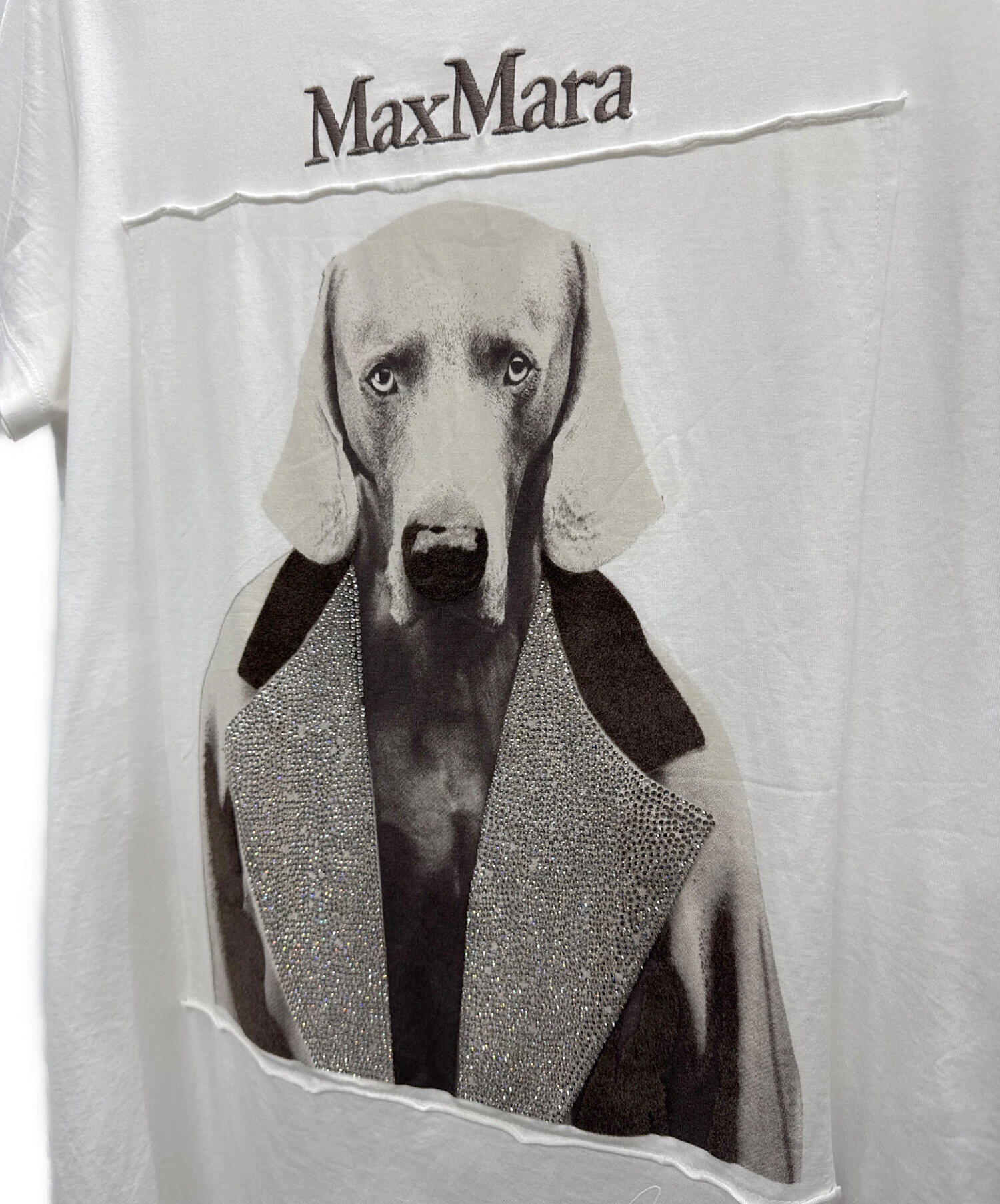 【新品未使用‼️】MaxMara 犬プリントコットンTシャツ　S Max Mara（マックスマーラ） 半袖 Tシャツ CIPRIA チプリア レディース
